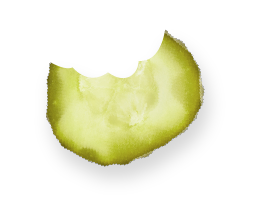 PickleChip-Bite